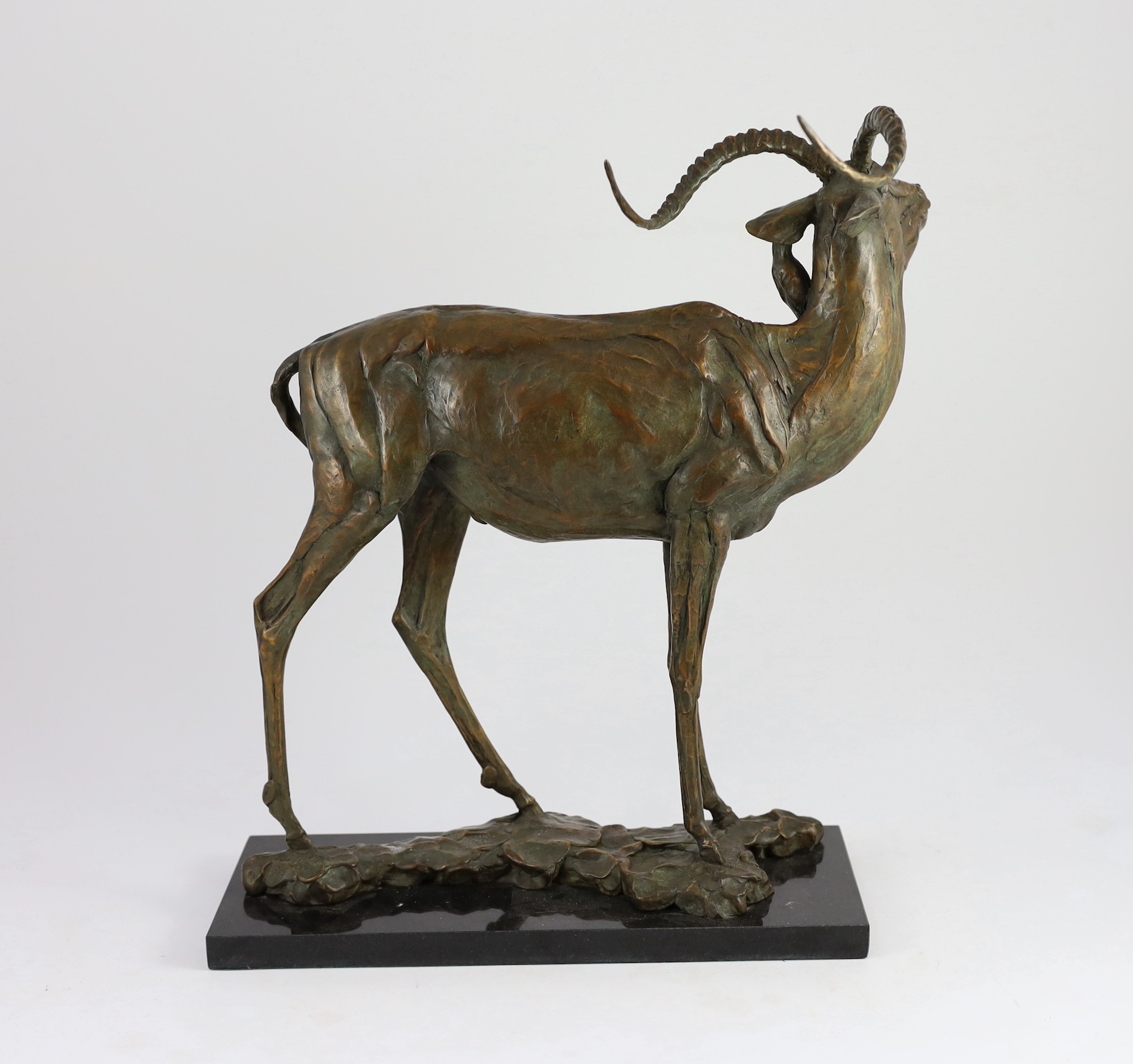 Robert Glen (African/American b.1940). A bronze study of an Eland, 44cm high 39cm long
